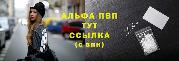 сатива Белокуриха