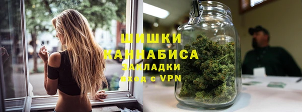 сатива Белокуриха